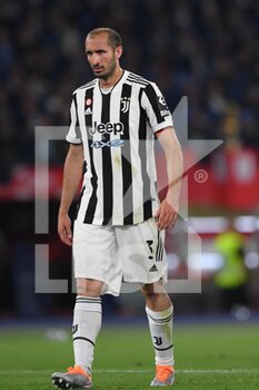 2022-05-11 - ROME, ITALY - May 11 : Giorgio Chiellini of FC Juventus gestures during  the  Italian Cup final  soccer match between  FC Juventus and Inter Milan FC at Stadio Olimpico on May 11,2022 in Rome, Italy.  - FINAL 2021/2022 - JUVENTUS FC VS INTER - FC INTERNAZIONALE - ITALIAN CUP - SOCCER