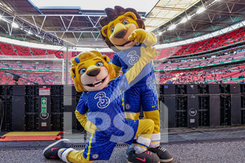 2022-02-27 - Chelsea mascots during the English League Cup, Carabao Cup Final football match between Chelsea and Liverpool on February 27, 2022 at Wembley Stadium in London, England - FINAL - CHELSEA VS LIVERPOOL - ENGLISH LEAGUE CUP - SOCCER