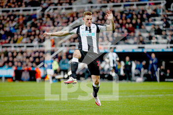 2022-02-08 - Newcastle United forward Chris Wood during the English championship Premier League football match between Newcastle United and Everton on February 8, 2022 at St James's Park in Newcastle, England - NEWCASTLE UNITED VS EVERTON - ENGLISH PREMIER LEAGUE - SOCCER