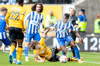 Wolverhampton Wanderers vs Brighton vs Hove Albion - ENGLISH PREMIER LEAGUE - SOCCER