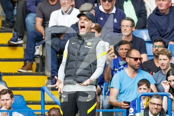 2022-05-07 - Thomas Tuchel Manager of Chelsea during the English championship Premier League football match between Chelsea and Wolverhampton Wanderers on May 7, 2022 at Stamford Bridge in London, England - CHELSEA VS WOLVERHAMPTON WANDERERS - ENGLISH PREMIER LEAGUE - SOCCER