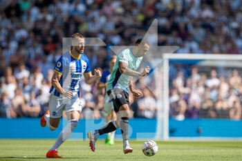 2022-08-13 - Brighton and Hove Albion defender Adam Webster (4), Newcastle United forward Callum Wilson (9) during the English championship Premier League football match between Brighton and Hove Albion and Newcastle United on August 13, 2022 at the American Express Community Stadium in Brighton and Hove, England - FOOTBALL - ENGLISH CHAMP - BRIGHTON V NEWCASTLE - ENGLISH PREMIER LEAGUE - SOCCER