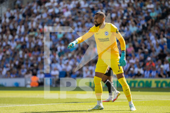 2022-08-13 - Brighton and Hove Albion goalkeeper Robert Sanchez during the English championship Premier League football match between Brighton and Hove Albion and Newcastle United on August 13, 2022 at the American Express Community Stadium in Brighton and Hove, England - FOOTBALL - ENGLISH CHAMP - BRIGHTON V NEWCASTLE - ENGLISH PREMIER LEAGUE - SOCCER