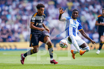 2022-08-27 - Leeds United midfielder Tyler Adams (12), Moises Caicedo of Brighton during the English championship Premier League football match between Brighton and Hove Albion and Leeds United on August 27, 2022 at the American Express Community Stadium in Brighton and Hove, England - FOOTBALL - ENGLISH CHAMP - BRIGHTON V LEEDS - ENGLISH PREMIER LEAGUE - SOCCER