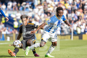 2022-08-27 - Leeds United midfielder Tyler Adams (12) & Brighton and Hove Albion defender Tariq Lamptey (2) during the English championship Premier League football match between Brighton and Hove Albion and Leeds United on August 27, 2022 at the American Express Community Stadium in Brighton and Hove, England - FOOTBALL - ENGLISH CHAMP - BRIGHTON V LEEDS - ENGLISH PREMIER LEAGUE - SOCCER