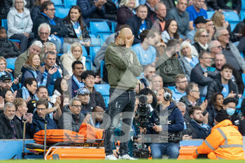 2022-10-22 - Manchester City manager Pep Guardiola during the English championship Premier League football match between Manchester City and Brighton and Hove Albion on October 22, 2022 at the Etihad Stadium in Manchester, England - FOOTBALL - ENGLISH CHAMP - MANCHESTER CITY V BRIGHTON - ENGLISH PREMIER LEAGUE - SOCCER