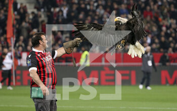 2022-03-05 - Mefi the eagle, mascot of Nice during the French championship Ligue 1 football match between OGC Nice (OGCN) and Paris Saint-Germain (PSG) on March 5, 2022 at Allianz Riviera stadium in Nice, France - OGC NICE (OGCN) VS PARIS SAINT-GERMAIN (PSG) - FRENCH LIGUE 1 - SOCCER