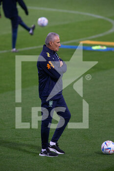 2022-11-14 - Tite, head coach of Brazil during the first day of trying of the Brazil National football team before the final stage of the Qatar 2022 World Cup,  at the Juventus Training Center in Turin, Italy  Photo Nderim Kaceli - TRAINING OF BRASIL TEAM - FIFA WORLD CUP - SOCCER
