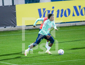 2022-11-16 - Vinicius Jr of Brazil during Brazil National football team traning, before the finale stage of the World Cup 2022 in Qatar, at Juventus Training Center, 16 November 2022, Turin, Italy. Photo Nderim Kaceli - BRAZIL NATIONAL TEMA TRAINING - FIFA WORLD CUP - SOCCER