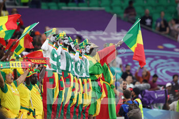 2022-11-21 - Fans of Senegal during the FIFA World Cup 2022, Group A football match between Senegal and Netherlands on November 21, 2022 at Al Thumama Stadium in Doha, Qatar - FOOTBALL - WORLD CUP 2022 - SENEGAL V NETHERLANDS - FIFA WORLD CUP - SOCCER