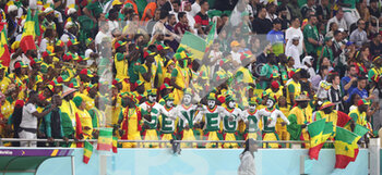 2022-11-21 - Fans of Senegal during the FIFA World Cup 2022, Group A football match between Senegal and Netherlands on November 21, 2022 at Al Thumama Stadium in Doha, Qatar - FOOTBALL - WORLD CUP 2022 - SENEGAL V NETHERLANDS - FIFA WORLD CUP - SOCCER