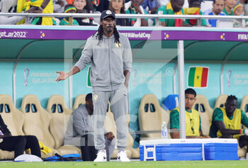 21/11/2022 - Coach Aliou Cisse of Senegal during the FIFA World Cup 2022, Group A football match between Senegal and Netherlands on November 21, 2022 at Al Thumama Stadium in Doha, Qatar - FOOTBALL - WORLD CUP 2022 - SENEGAL V NETHERLANDS - FIFA MONDIALI - CALCIO