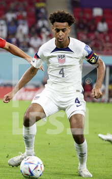 21/11/2022 - Tyler Adams of USA during the FIFA World Cup 2022, Group B football match between United States and Wales on November 21, 2022 at Ahmad Bin Ali Stadium in Ar-Rayyan, Qatar - FOOTBALL - WORLD CUP 2022 - UNITED STATES V WALES - FIFA MONDIALI - CALCIO