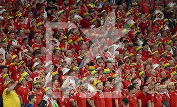 21/11/2022 - Fans of Wales during the FIFA World Cup 2022, Group B football match between United States and Wales on November 21, 2022 at Ahmad Bin Ali Stadium in Ar-Rayyan, Qatar - FOOTBALL - WORLD CUP 2022 - UNITED STATES V WALES - FIFA MONDIALI - CALCIO