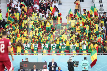 2022-11-25 - Supporters of Senegal during the FIFA World Cup 2022, Group A football match between Qatar and Senegal on November 25, 2022 at Al Thumama Stadium in Doha, Qatar - FOOTBALL - WORLD CUP 2022 - QATAR V SENEGAL - FIFA WORLD CUP - SOCCER