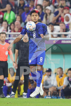 2022-11-29 - Weston McKennie of USA during the FIFA World Cup 2022, Group B football match between Iran and United States on November 29, 2022 at Al Thumama Stadium in Doha, Qatar - FOOTBALL - WORLD CUP 2022 - IRAN V UNITED STATES - FIFA WORLD CUP - SOCCER