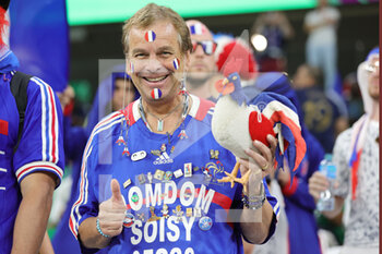 2022-11-30 - France fan during the FIFA World Cup 2022, Group D football match between Tunisia and France on November 30, 2022 at Education City Stadium in Doha, Qatar - FOOTBALL - WORLD CUP 2022 - TUNISIA V FRANCE - FIFA WORLD CUP - SOCCER