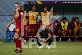 2022-12-01 - Coach of Spain Luis Enrique during the FIFA World Cup 2022, Group E football match between Japan and Spain on December 1, 2022 at Khalifa International Stadium in Ar-Rayyan, Qatar - FOOTBALL - WORLD CUP 2022 - JAPAN V SPAIN - FIFA WORLD CUP - SOCCER