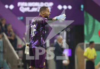 2022-12-02 - Cameroon goalkeeper Devis Epassy during the FIFA World Cup 2022, Group G football match between Cameroon and Brazil on December 2, 2022 at Lusail Stadium in Al Daayen, Qatar - FOOTBALL - WORLD CUP 2022 - CAMEROON V BRAZIL - FIFA WORLD CUP - SOCCER
