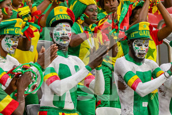 2022-12-04 - Senegal fans during the FIFA World Cup 2022, Round of 16 football match between England and Senegal on December 4, 2022 at Al Bayt Stadium in Al Khor, Qatar - FOOTBALL - WORLD CUP 2022 - 1/8 - ENGLAND V SENEGAL - FIFA WORLD CUP - SOCCER