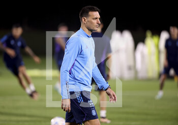 08/12/2022 - Coach of Argentina Lionel Scaloni during Argentina training session at the Qatar University training center during the FIFA World Cup 2022 on December 8, 2022 in Doha, Qatar - FOOTBALL - WORLD CUP 2022 - MISCS - FIFA MONDIALI - CALCIO