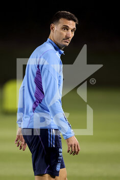 2022-12-08 - Coach of Argentina Lionel Scaloni during Argentina training session at the Qatar University training center during the FIFA World Cup 2022 on December 8, 2022 in Doha, Qatar - FOOTBALL - WORLD CUP 2022 - MISCS - FIFA WORLD CUP - SOCCER
