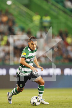 2022-08-27 - Pedro Goncalves of Sporting CP during the Portuguese championship, Liga Bwin football match between Sporting CP and GD Chaves on August 27, 2022 at Jose Alvalade stadium in Lisbon, Portugal - FOOTBALL - PORTUGUESE CHAMP - SPORTING CP V CHAVES - PORTUGUESE PRIMEIRA LIGA - SOCCER