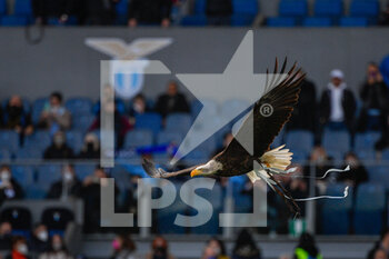 2022-01-06 - Olimpia during the Italian Football Championship League A 2021/2022 match between SS Lazio vs Empoli FC at the Olimpic Stadium in Rome on 06 January 2021. - SS LAZIO VS EMPOLI FC - ITALIAN SERIE A - SOCCER