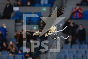 2022-01-06 - Olimpia during the Italian Football Championship League A 2021/2022 match between SS Lazio vs Empoli FC at the Olimpic Stadium in Rome on 06 January 2021. - SS LAZIO VS EMPOLI FC - ITALIAN SERIE A - SOCCER