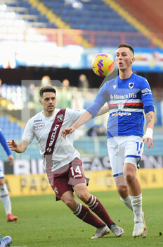 2022-01-15 - Josip Brekalo (Torino) - Kristoffer Askildsen (Sampdoria) - UC SAMPDORIA VS TORINO FC - ITALIAN SERIE A - SOCCER