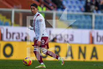 2022-01-15 - Sasa Lukic (Torino) - UC SAMPDORIA VS TORINO FC - ITALIAN SERIE A - SOCCER