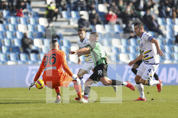 2022-01-16 - Davide Frattesi (Sassuolo) in action - US SASSUOLO VS HELLAS VERONA FC - ITALIAN SERIE A - SOCCER