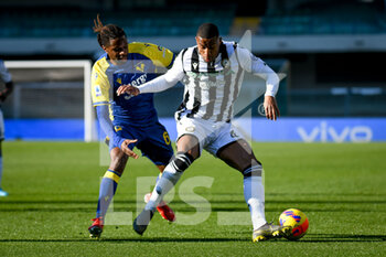 2022-02-13 - Udinese's Marvin Zeegelaar in action against Verona's Adrien Tamèze - HELLAS VERONA FC VS UDINESE CALCIO - ITALIAN SERIE A - SOCCER