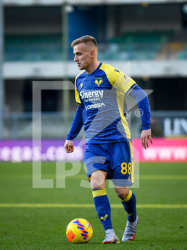 2022-02-13 - Verona's Mateusz Praszelik portrait in action - HELLAS VERONA FC VS UDINESE CALCIO - ITALIAN SERIE A - SOCCER
