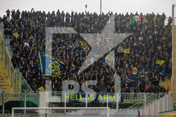 2022-03-06 - Fans of Verona  - ACF FIORENTINA VS HELLAS VERONA FC - ITALIAN SERIE A - SOCCER