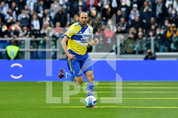 2022-03-20 - Giorgio Chiellini of Juventus FC in action during the Serie A 2021/22 match between Juventus FC and US Salernitana at Allianz Stadium on March 20, 2022 in Turin, Italy-Photo ReporterTorino - JUVENTUS FC VS US SALERNITANA - ITALIAN SERIE A - SOCCER