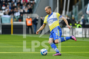 2022-03-20 - Giorgio Chiellini of Juventus FC in action during the Serie A 2021/22 match between Juventus FC and US Salernitana at Allianz Stadium on March 20, 2022 in Turin, Italy-Photo ReporterTorino - JUVENTUS FC VS US SALERNITANA - ITALIAN SERIE A - SOCCER