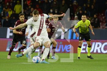 US Salernitana vs Torino FC - SERIE A - CALCIO