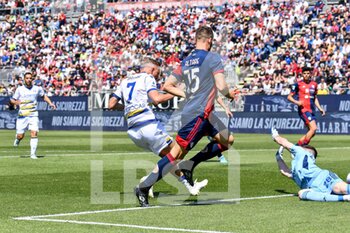 2022-04-30 - Antonin Barak of Hellas Verona FC Goal - CAGLIARI CALCIO VS HELLAS VERONA FC - ITALIAN SERIE A - SOCCER