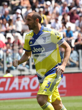 2022-05-01 - Giorgio Chiellini (Juventus FC) - JUVENTUS FC VS VENEZIA FC - ITALIAN SERIE A - SOCCER