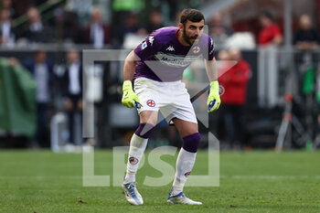 2022-05-01 - Pietro Terracciano (ACF Fiorentina) - AC MILAN VS ACF FIORENTINA - ITALIAN SERIE A - SOCCER