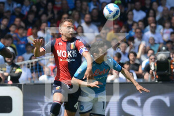 SSC Napoli vs Genoa CFC - SERIE A - CALCIO