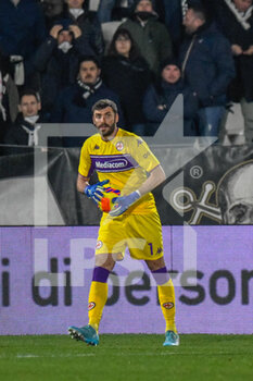 2022-02-14 - Fiorentina's Pietro Terracciano - SPEZIA CALCIO VS ACF FIORENTINA - ITALIAN SERIE A - SOCCER
