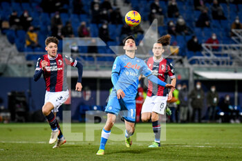 2022-01-17 - Hirving Lozano (Napoli) in action - BOLOGNA FC VS SSC NAPOLI - ITALIAN SERIE A - SOCCER