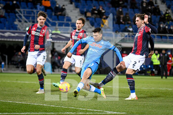 Bologna FC vs SSC Napoli - SERIE A - CALCIO