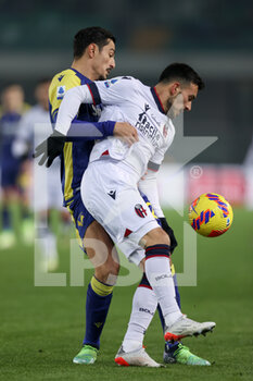 2022-01-21 - Nicola Sansone (Bologna FC) and Koray Gunter (Hellas Verona FC) battle for the ball - HELLAS VERONA FC VS BOLOGNA FC - ITALIAN SERIE A - SOCCER