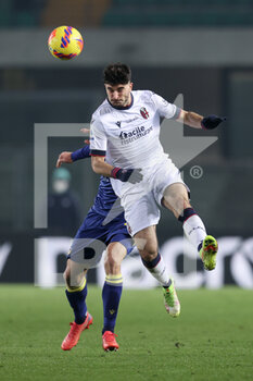 2022-01-21 - Riccardo Orsolini (Bologna FC) header - HELLAS VERONA FC VS BOLOGNA FC - ITALIAN SERIE A - SOCCER