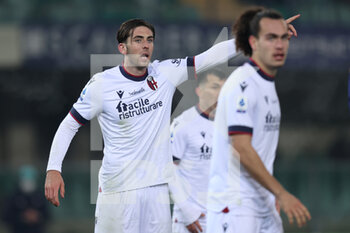 2022-01-21 - Luis Thomas Binks (Bologna FC) gestures - HELLAS VERONA FC VS BOLOGNA FC - ITALIAN SERIE A - SOCCER