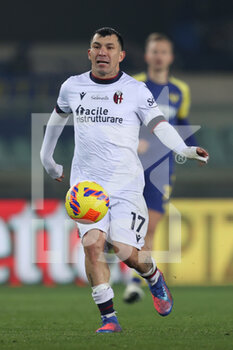 2022-01-21 - Gary Medel (Bologna FC) in action - HELLAS VERONA FC VS BOLOGNA FC - ITALIAN SERIE A - SOCCER