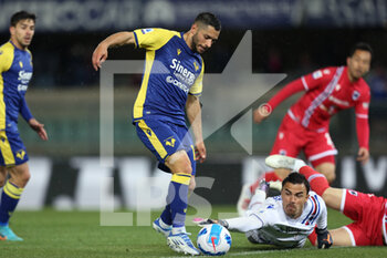 2022-04-23 - Gianluca Caprari (Hellas Verona FC) scores the equaliser - HELLAS VERONA VS UC SAMPDORIA - ITALIAN SERIE A - SOCCER